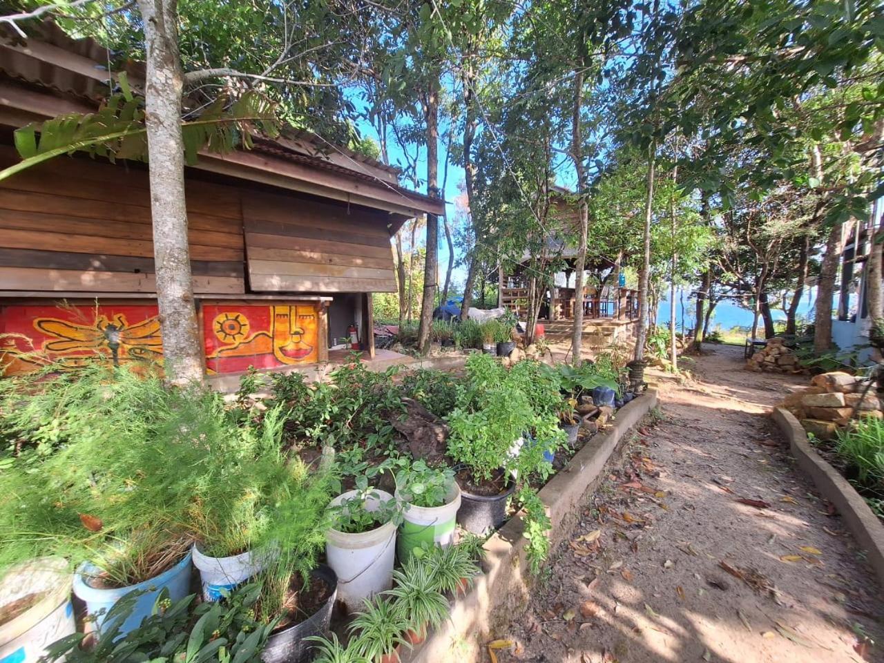 Dragonfly Guesthouse Đảo Koh Rong Samloem Ngoại thất bức ảnh