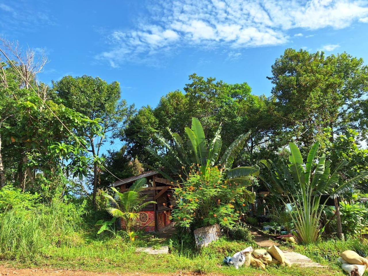 Dragonfly Guesthouse Đảo Koh Rong Samloem Ngoại thất bức ảnh