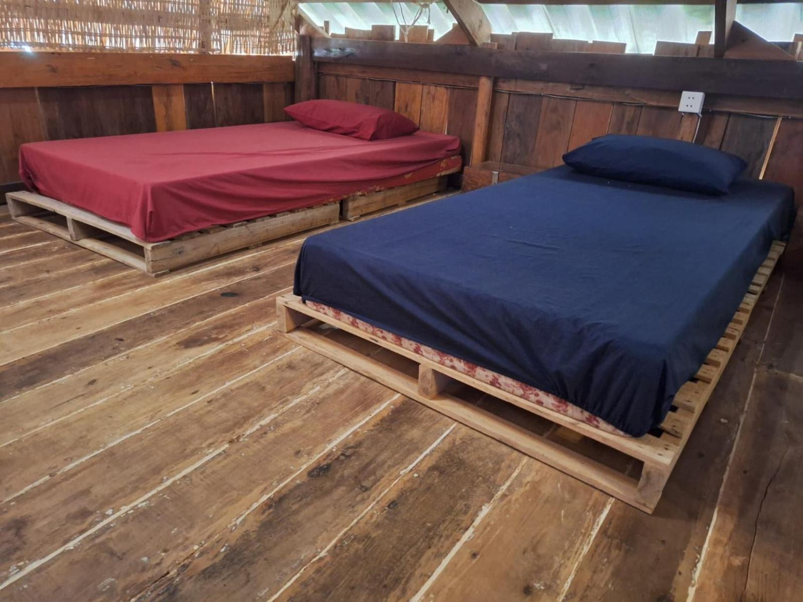 Dragonfly Guesthouse Đảo Koh Rong Samloem Ngoại thất bức ảnh