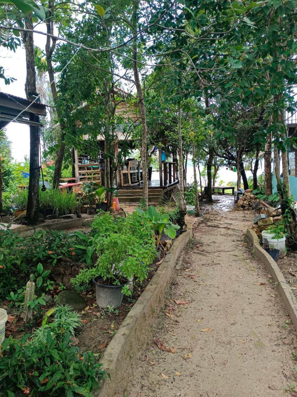 Dragonfly Guesthouse Đảo Koh Rong Samloem Ngoại thất bức ảnh