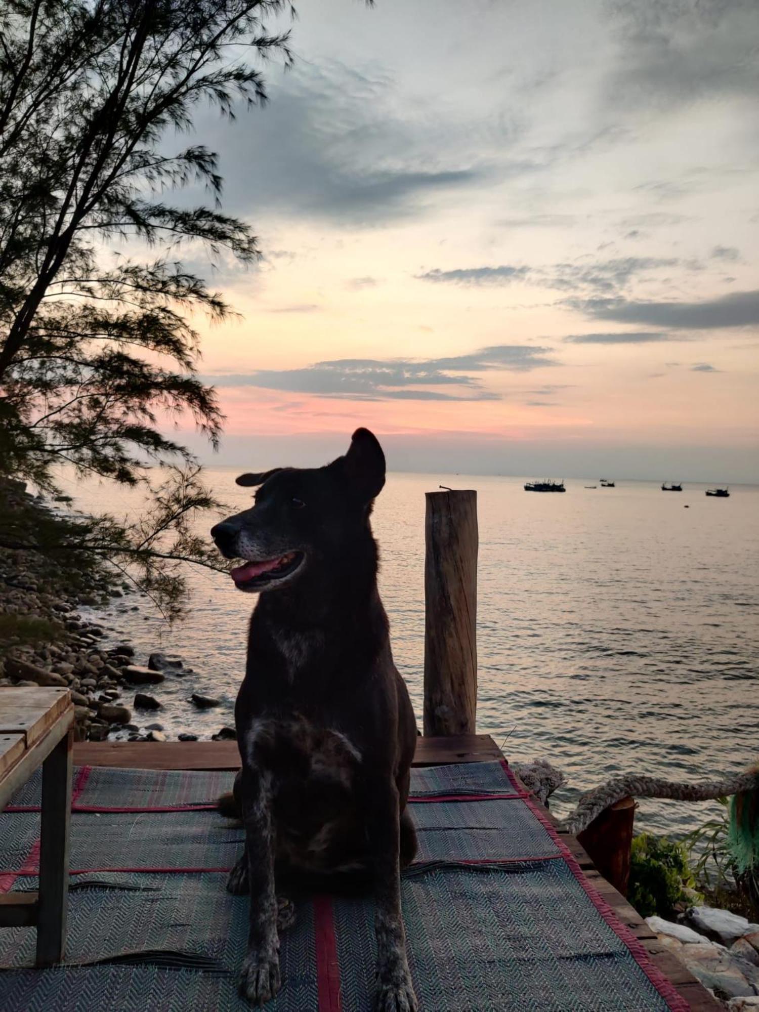Dragonfly Guesthouse Đảo Koh Rong Samloem Ngoại thất bức ảnh