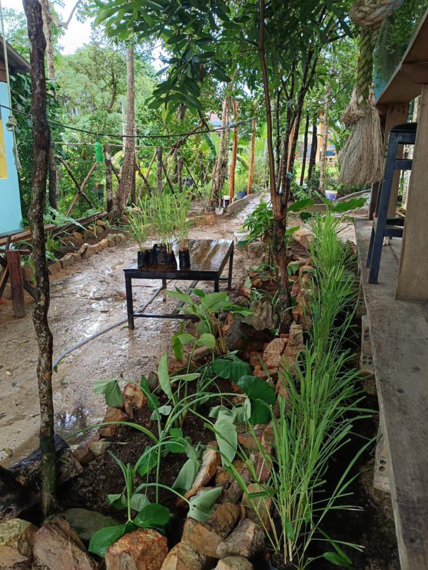 Dragonfly Guesthouse Đảo Koh Rong Samloem Ngoại thất bức ảnh